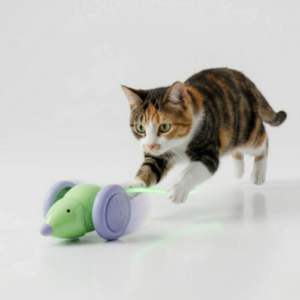 Interactive Mouse Toy for Cats