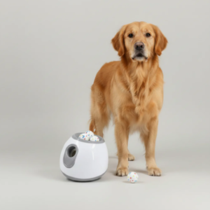 Automatic Dog Ball Launcher