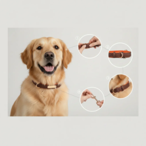 Dual D-Ring PU Leather Dog Collar with Nameplate